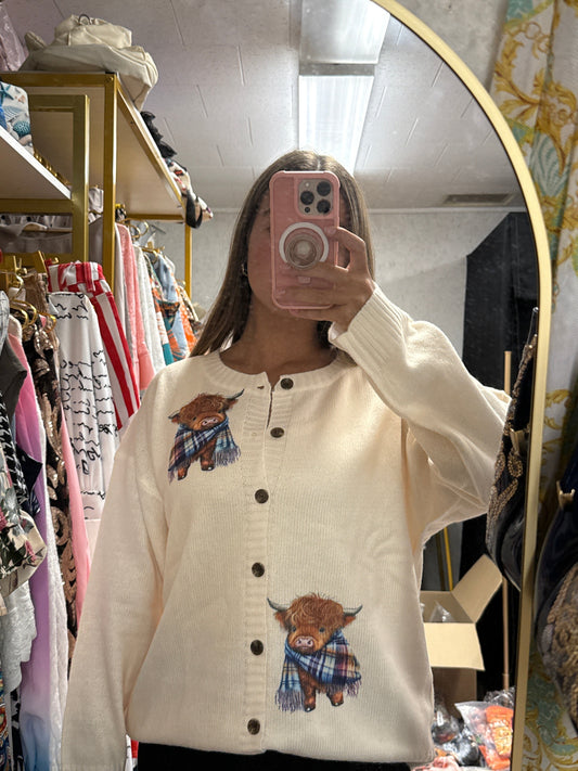 Cardigan knitted sweater